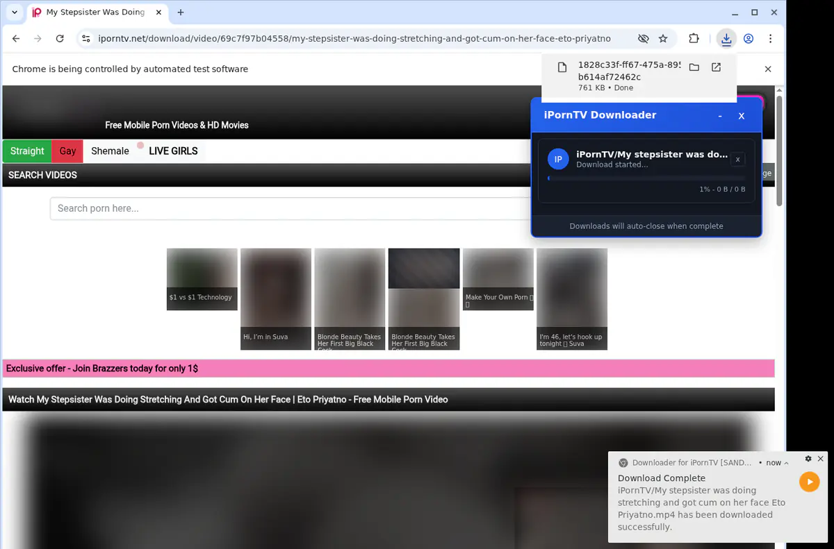 Iporntv Video Downloader screenshot 2