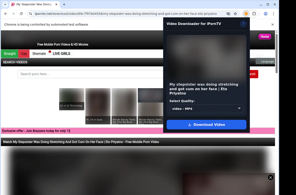 Iporntv Video Downloader screenshot 3